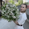 101 бело-фиолетовая альстромерия